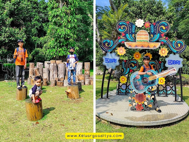 Taman Meksiko Kebun Raya Bogor dengan koleksi tanaman kaktus dan spot foto menarik