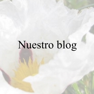 https://blogentorno.blogspot.com/