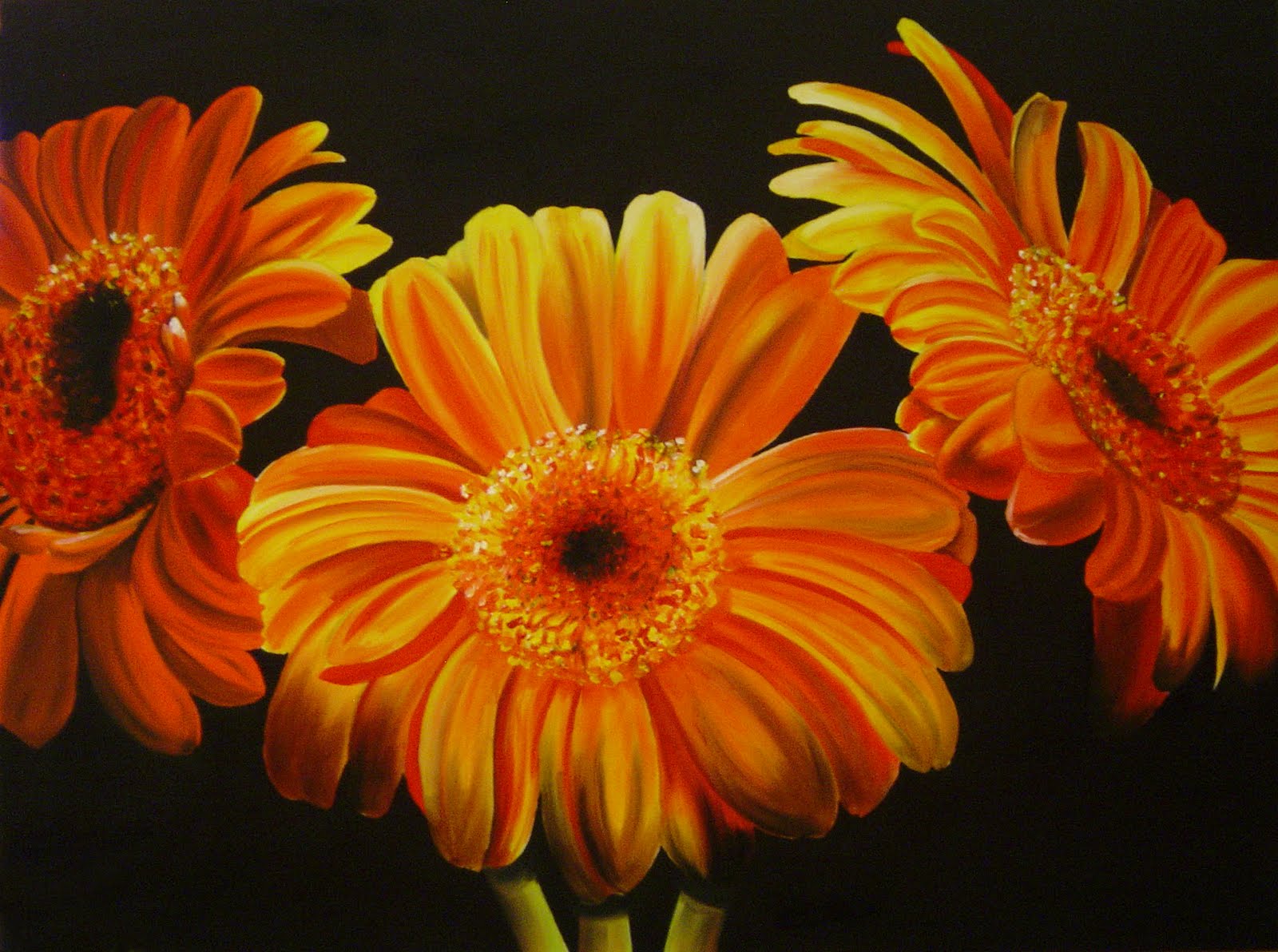 Orange Gerberas ~ Wedding