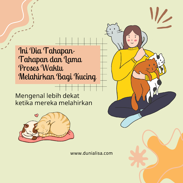 kucing melahirkan