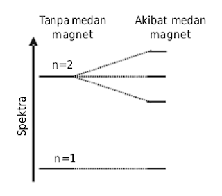 Spektrum atom hidrogen terurai dalam medan magnet (efek Zeeman)