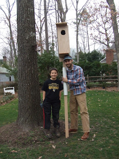 plans for wood duck house