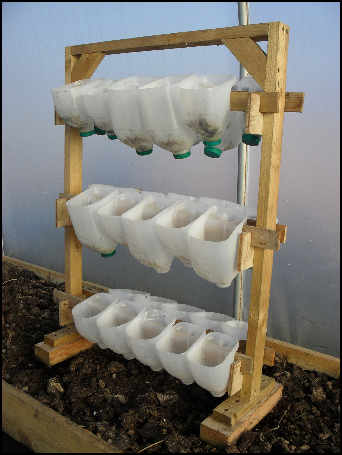 Milk Jug Herb Garden