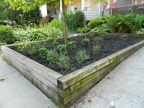 Leslieville Toronto Front Garden Weeding and Makeover After by Paul Jung Gardening Services--a Toronto Organic Gardening Company