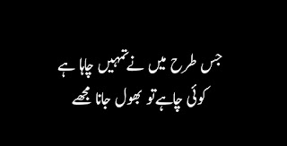 Best 2 Line Very Sad Shayari in Urdu 2020