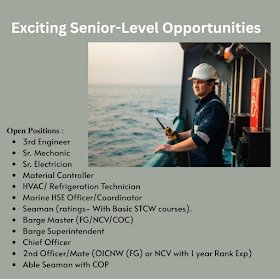 Exciting Senior-Level Opportunities