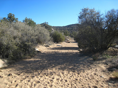 Typical Trail Wash at Joshua Tree