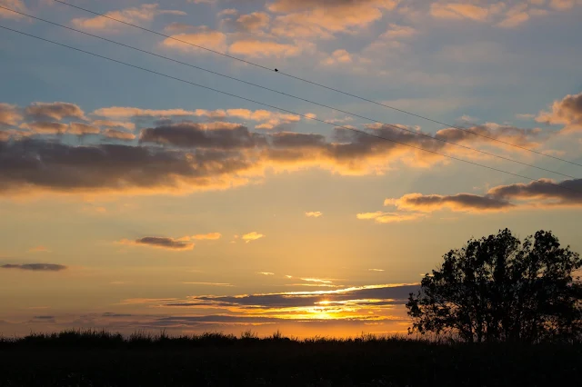 A sunset over a field