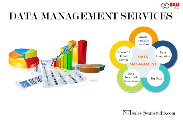 corporate data management