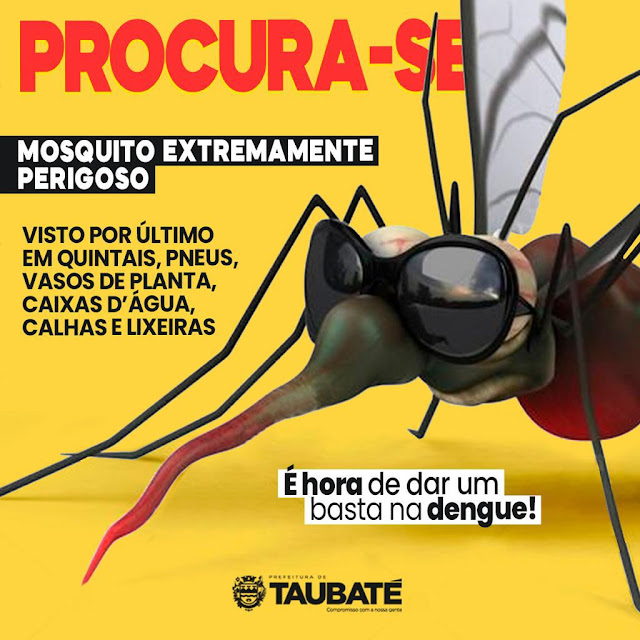 Campanha do Combate a Dengue