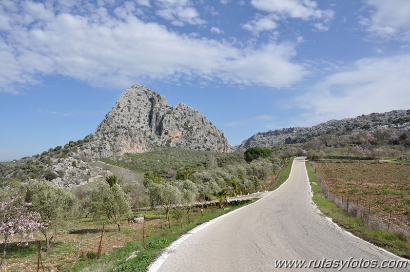 Subida al cerro Tavizna