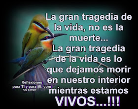 La gran tragedia de la vida, no es la muerte. La gran tragedia de la vida es lo que dejamos morir en nuestro interior mientras estamos VIVOS...!!!