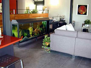 Beautiful Aquarium Furniture tank