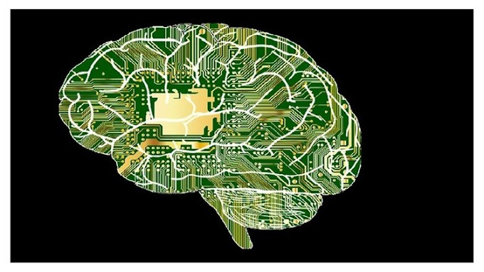 Top Secrets to Improve Your CBT Skills for Mental Disorders