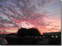 DSCN2848
