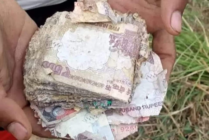 पटना में खेत से निकलने लगे 500 और 1000 के पुराने नोट, करोड़ों रुपये लूट कर ग्रामीण फ़रार 