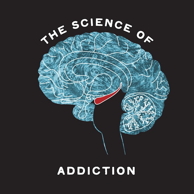 The Science of Addiction