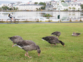 reykjavik