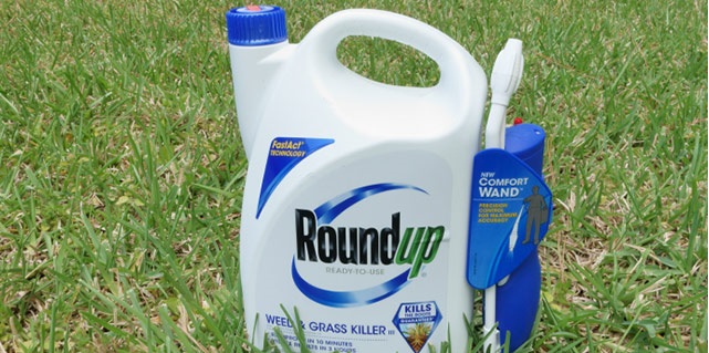 Biologist who exposed dangers of Roundup says “they tried to kill me”