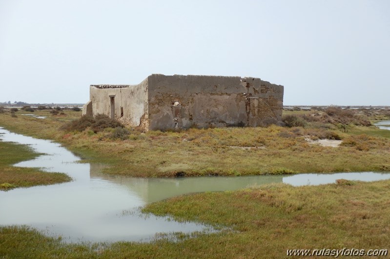 La Magdalena - Caño del Carrascón - Gallineras - Caño de Sancti Petri