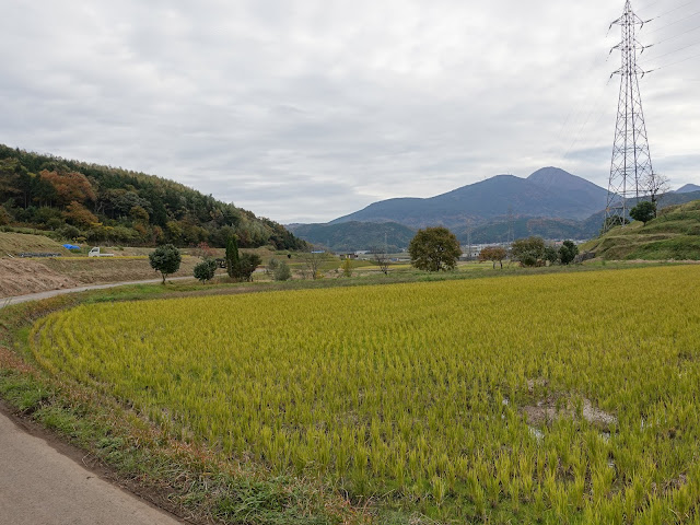 左手がつぼかめ山