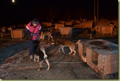 Keen Dogs