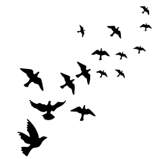 http://becauseishop.co.za/product/birds-in-flight-wall-art/