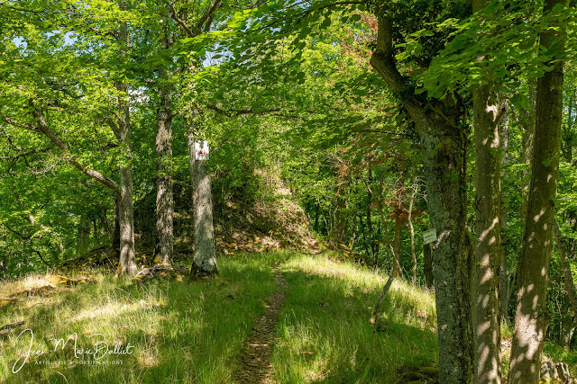 Burgthalschloss — Vestiges d'une tour