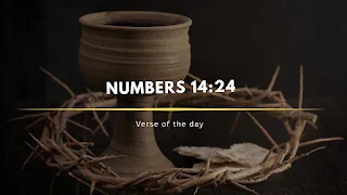 Trust That Unlocks God’s Promises | Reflection on Numbers 14:24