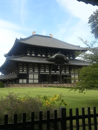 nara jepang; kota nara jepang; tempat wisata di kyoto; tempat wisata di kobe; wisata osaka; nara park; tour japan; wisata jepang; wisata di jepang; kota nara jepang; tentang kota nara jepang; ayodolenrek; ayo dolen rek