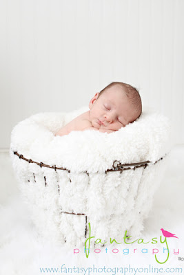 Newborn Photographers of the Triad and Winston Salem