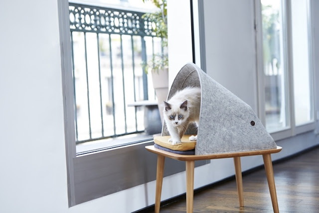 23 idéias de móveis com muito design e bom gosto para gatos