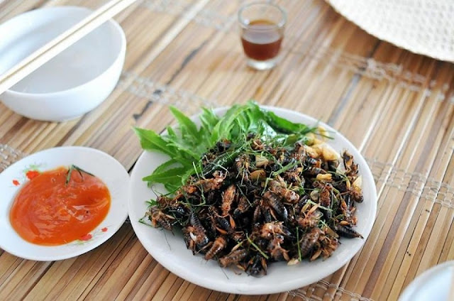 Dế chiên Nghĩa Lộ