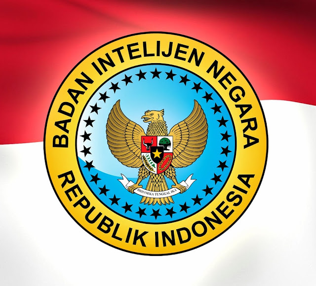 Bahayakan Keamanan Negara, BIN Kaji Pokemon Go di Indonesia