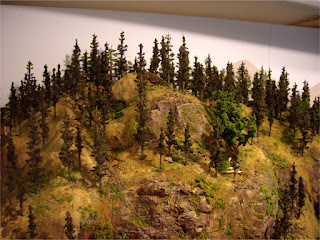 Completed mountain forest scene tree-line