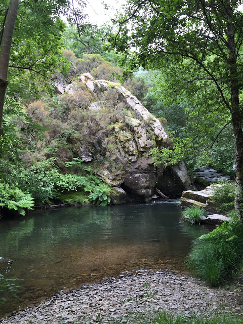 Spain, Marronda forest and the Eo River   by E.V.Pita (2015)  http://evpita.blogspot.com/2015/06/spain-marronda-forest-and-eo-river.html   Fraga de Marronda - río Eo (Baleira, Lugo)  por E.V.Pita (2015)