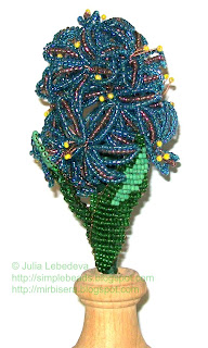 Beaded hyacinth