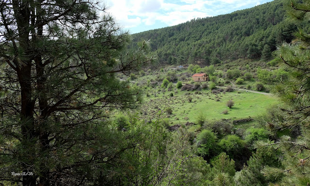 Jérez del Marquesado, Barranco el Alhorí, Torí, Casilla Judas