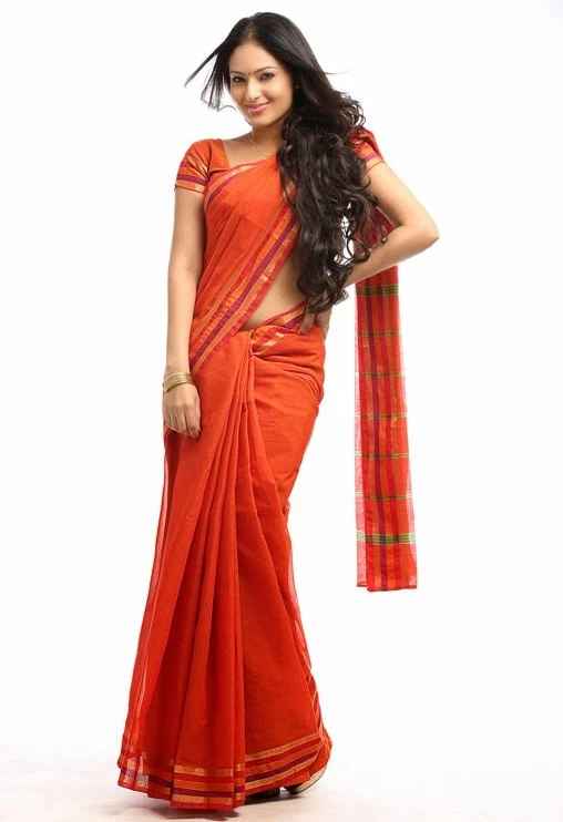 South Indian Actress Nikesha Patel Hip Navel In Transparent Red Saree