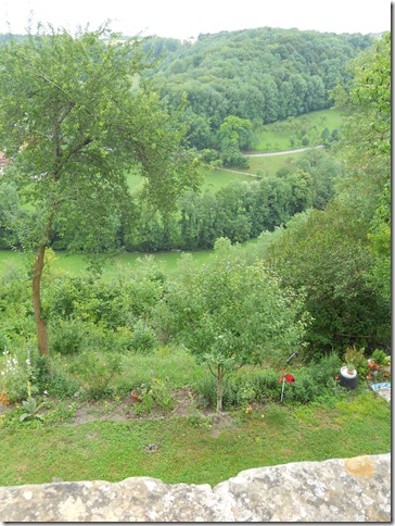 DSCN1554