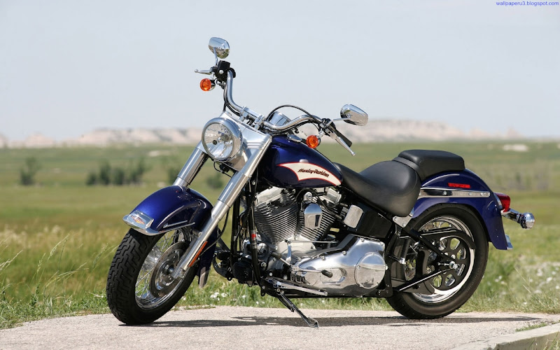 Harley Davidson Bike Widescreen HD Wallpaper 3