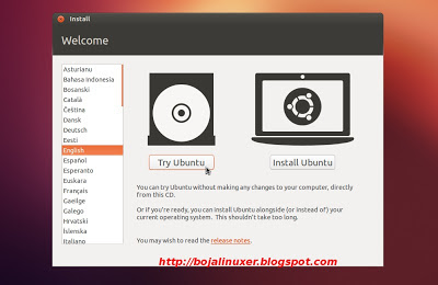 Ubuntu 12.10