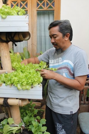 Berkebun yuuk Berkebun Sayur di Halaman