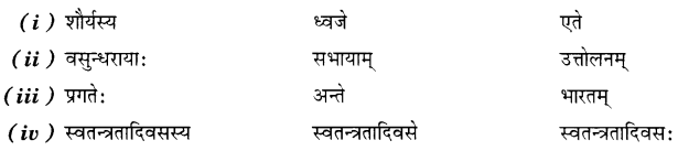 Solutions Class 7 संस्कृत Chapter-8 (त्रिवर्णः ध्वजः)