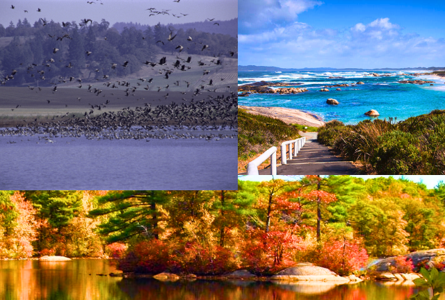Discover the Beauty of Massachusetts State Parks