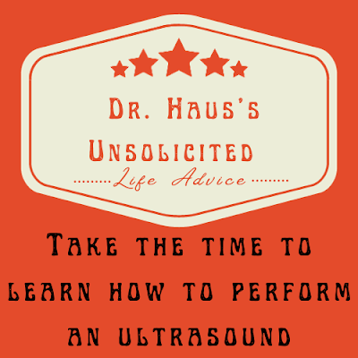 Dr. Haus's Unsolicited Life Advice:  Take the time to learn how to perform an ultrasound
