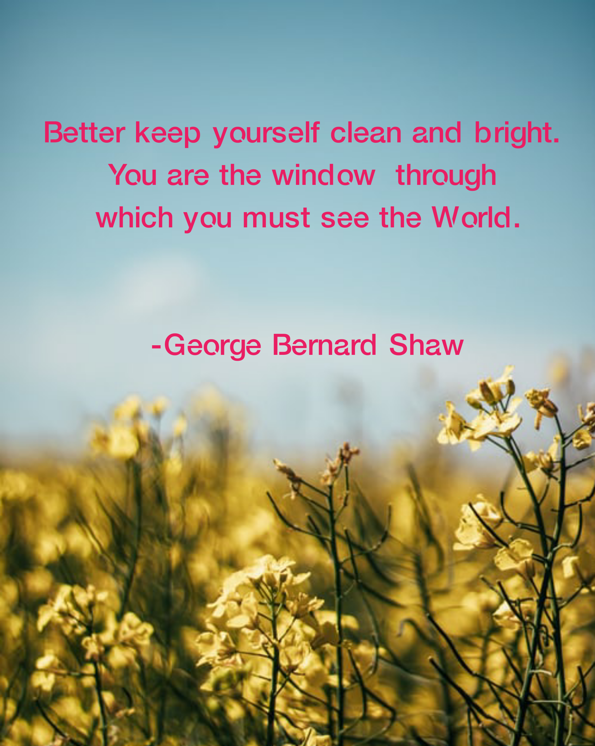 george bernard shaw quotes g b shaw g b shaw works george bernard shaw famous quotes george bernard shaw written works patty hearst husband who is patty hearst married to irish playwright 1856 to 1950 george bernard shaw quotes life