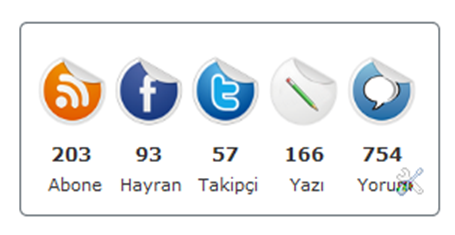Blog Hocam Otomatik Sayaç