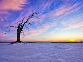 Winter Season Standard Resolution Wallpaper 33