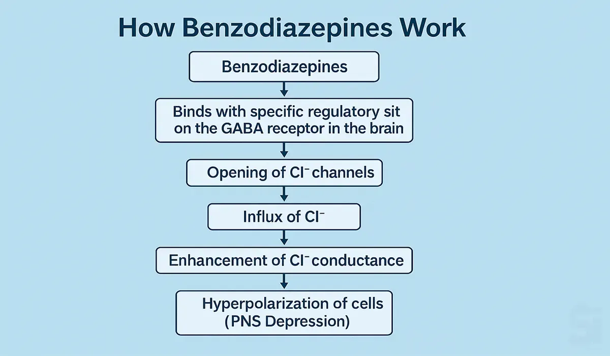 Step-by-Step-Action-of-Benzodiazepines-on-GABA-Receptors